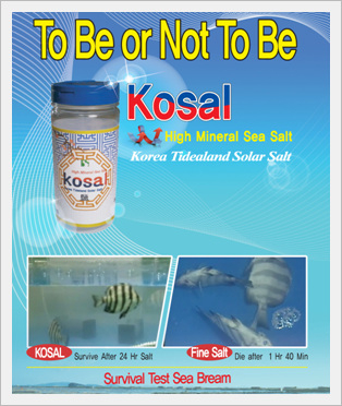 High Mineral Sea Salt Made in Korea